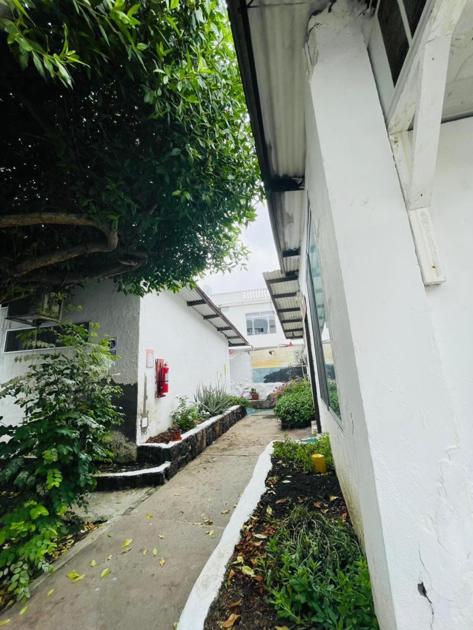 Hostal Darwin Puerto Ayora  Esterno foto